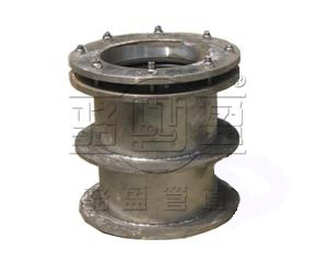 重慶市江北區(qū)<a href=http://www.www.markgaynor.com target=_blank class=infotextkey>柔性防水套管</a>